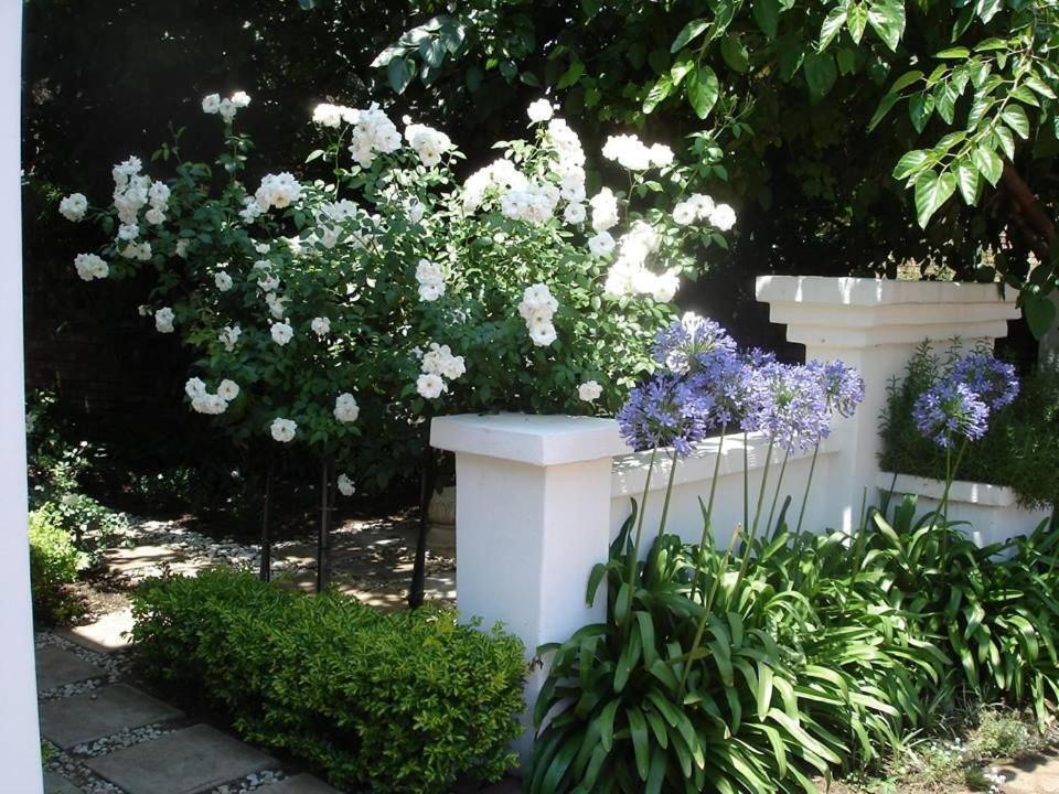 Oxnead Guesthouse Pretoria Ngoại thất bức ảnh